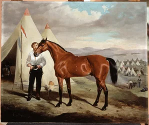 Sir Briggs, cavalo de Lord Tredegar (1831-1913) dos 17º Lancers, em Camp in Crimea 1854, 1856
